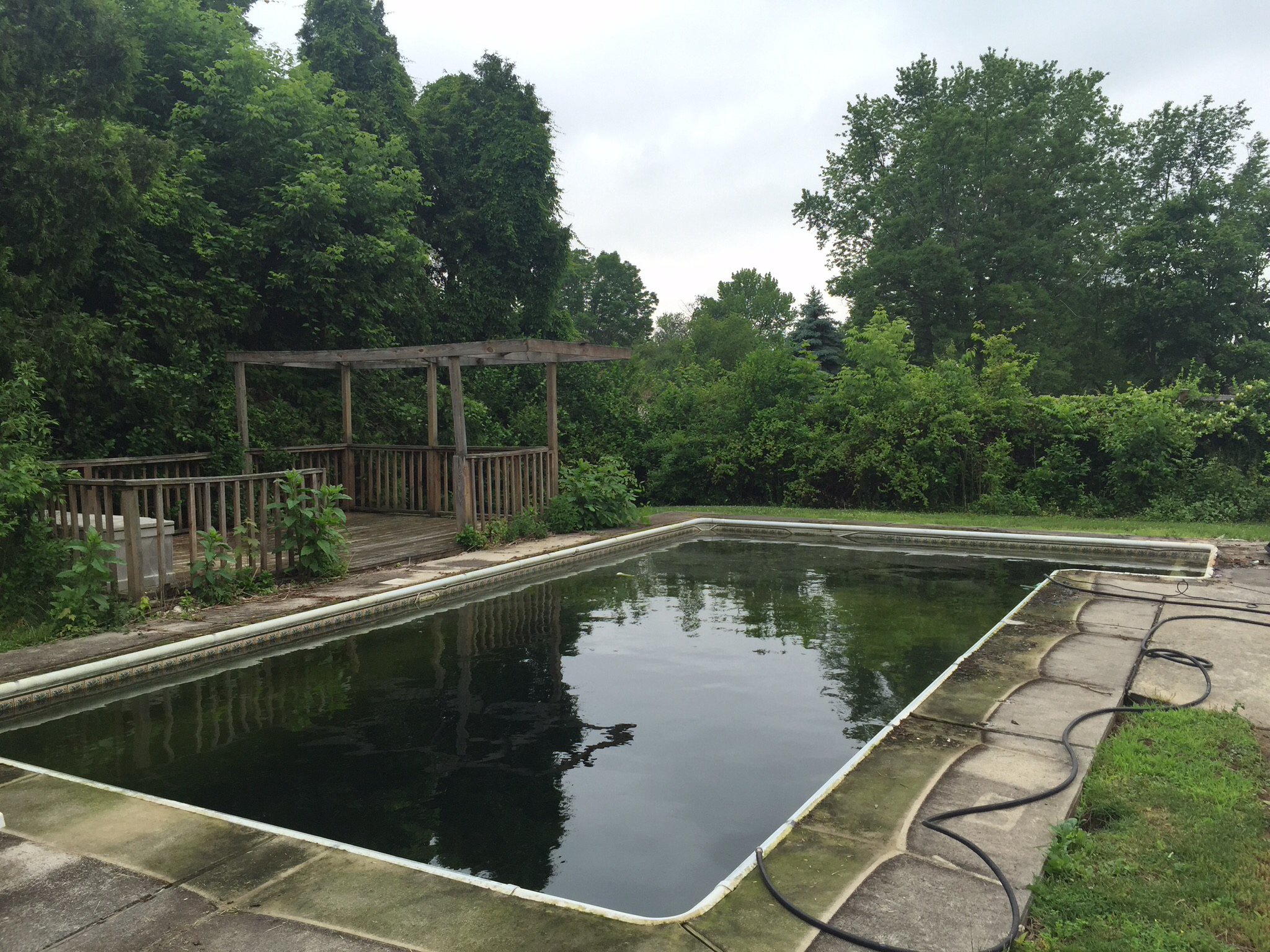 Newly opened pool green with algae